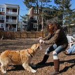(Gazette Photo by Chris Alspach) The weather looks more like April as Kayla McCue plays tug of war with dog Jackson at Beecher Park on Hyde Square’s Beecher Street on Feb. 20.