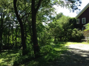 Concerns raised over Allendale St. project