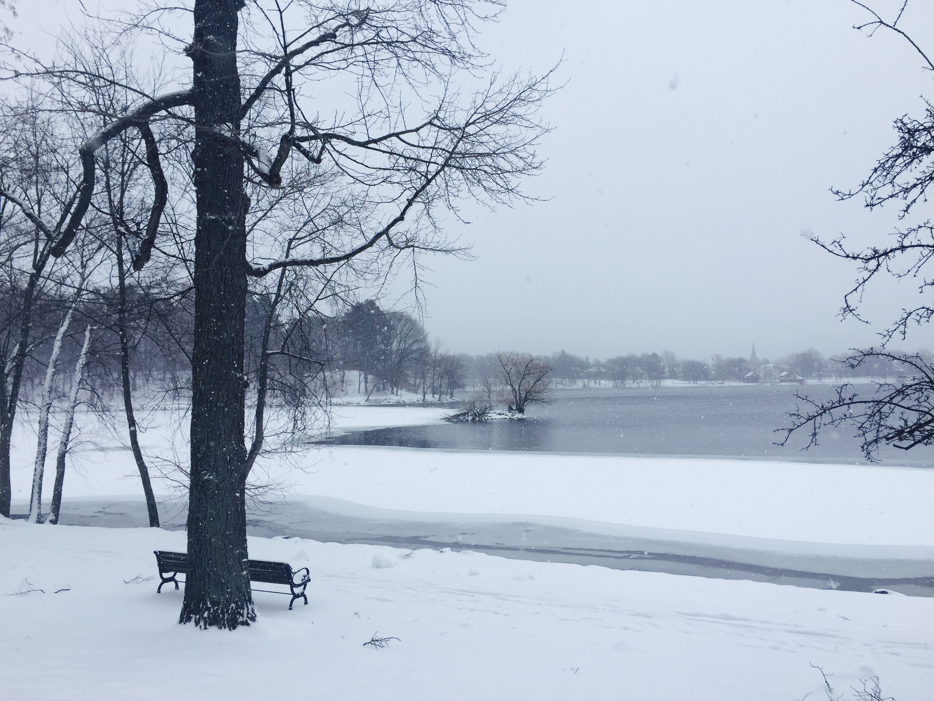 BEAUTIFUL Jamaica Plain Gazette